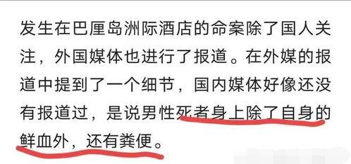 凶杀案爆料范文最新版,最新爆料范文深度剖析  第2张