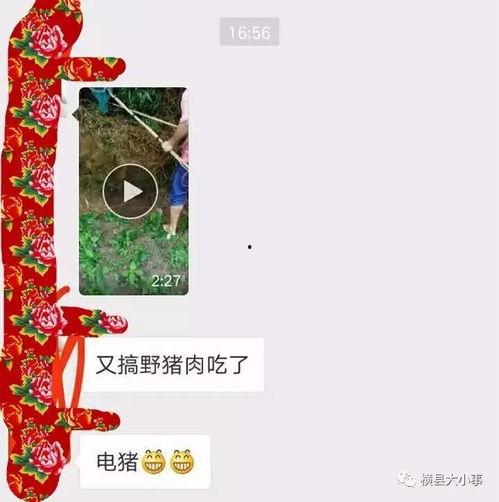 猪肉爆料视频大全集,揭秘行业真相与食品安全 第3张 猪肉爆料视频大全集,揭秘行业真相与食品安全 第3张