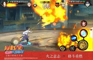 忍者爆料合集视频,爆料合集视频深度解析  第2张